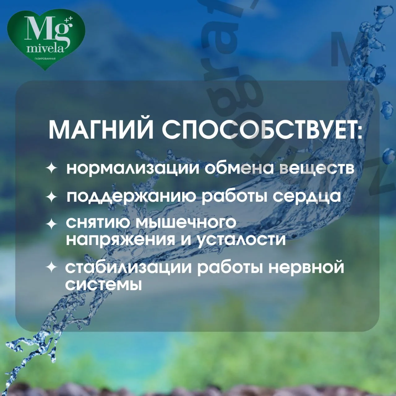 Ригла вода минеральная Мивела Mg++ природ.питьевая лечеб.-столов.негазированная 1л Ригла вода минеральная Мивела Mg++ природ.питьевая лечеб.-столов.негазированная 1л